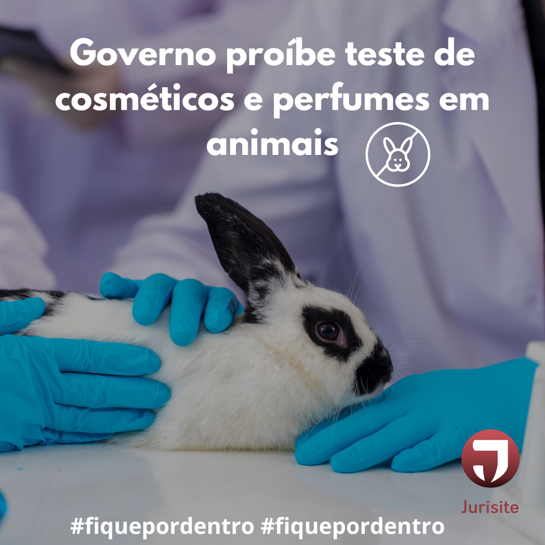 Governo proíbe teste de cosméticos e perfumes em animais