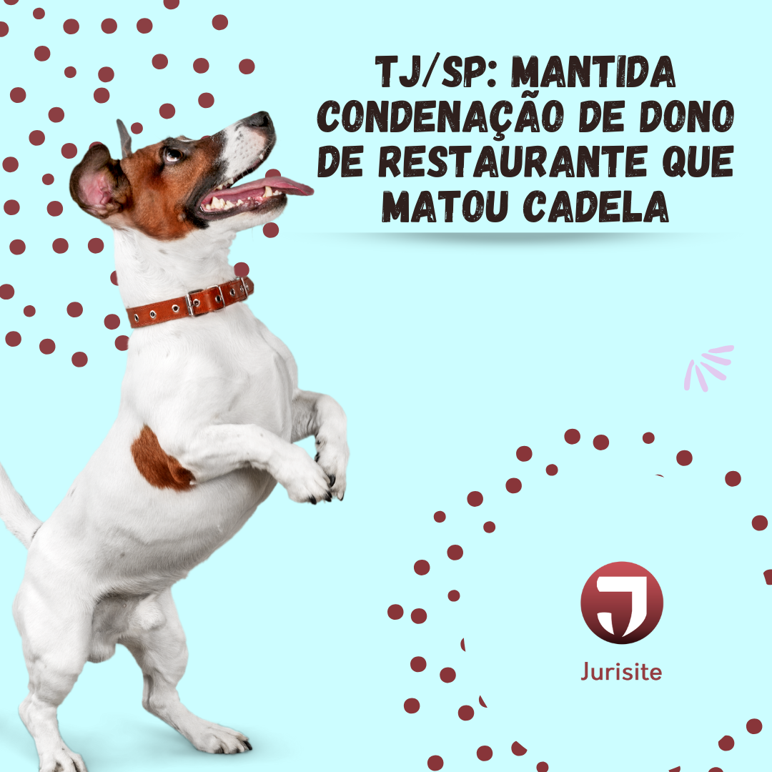 TJ/SP: Mantida condenação de dono de restaurante que matou cadela