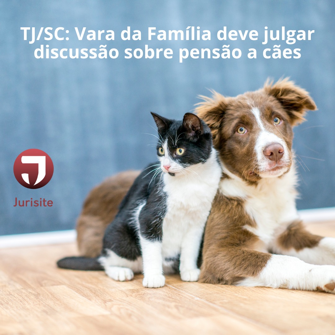 TJ/SC: Vara da Família deve julgar discussão sobre pensão a cães