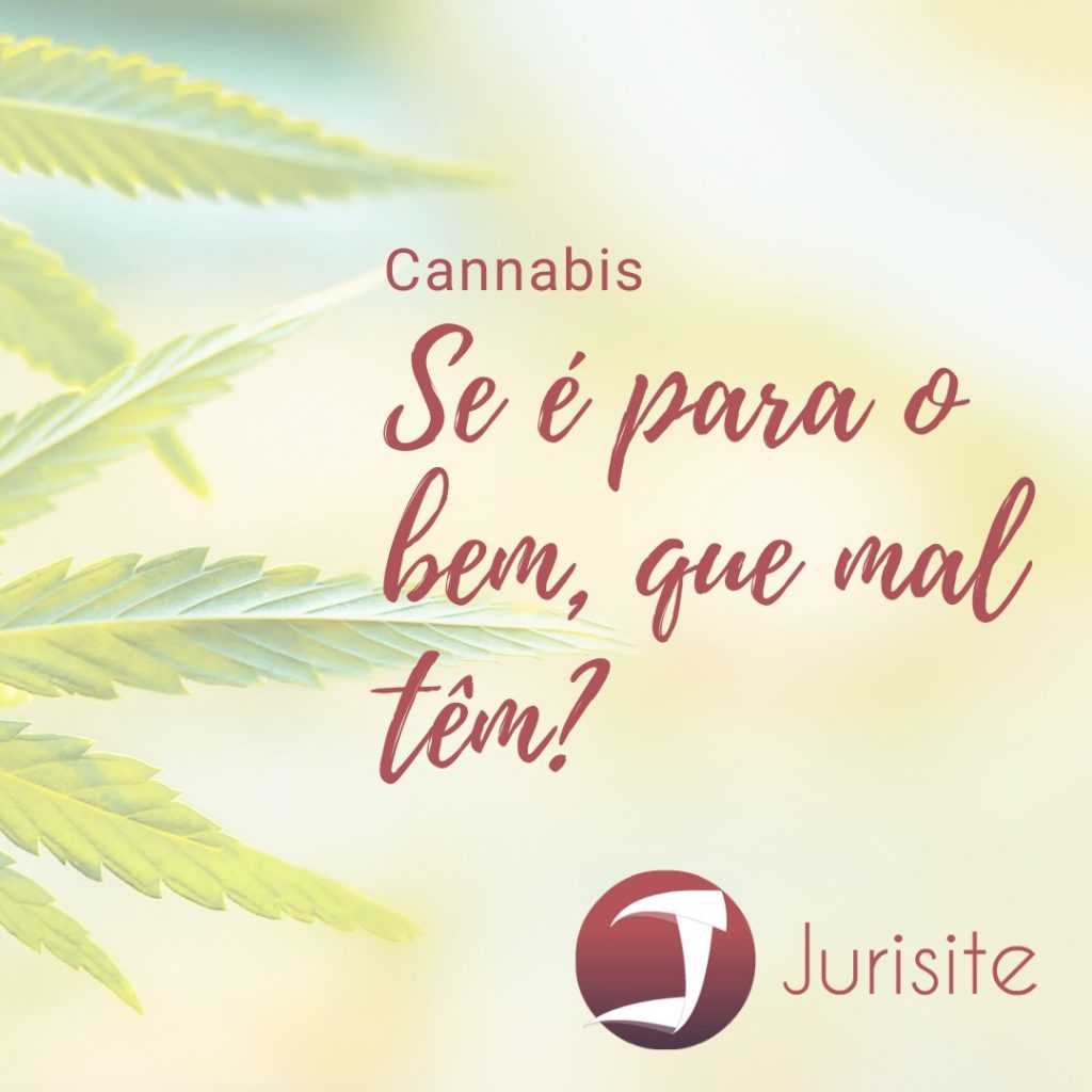 Farmácia de Manipulação ganhou o direito de utilizar derivados de cannabis em suas fórmulas.